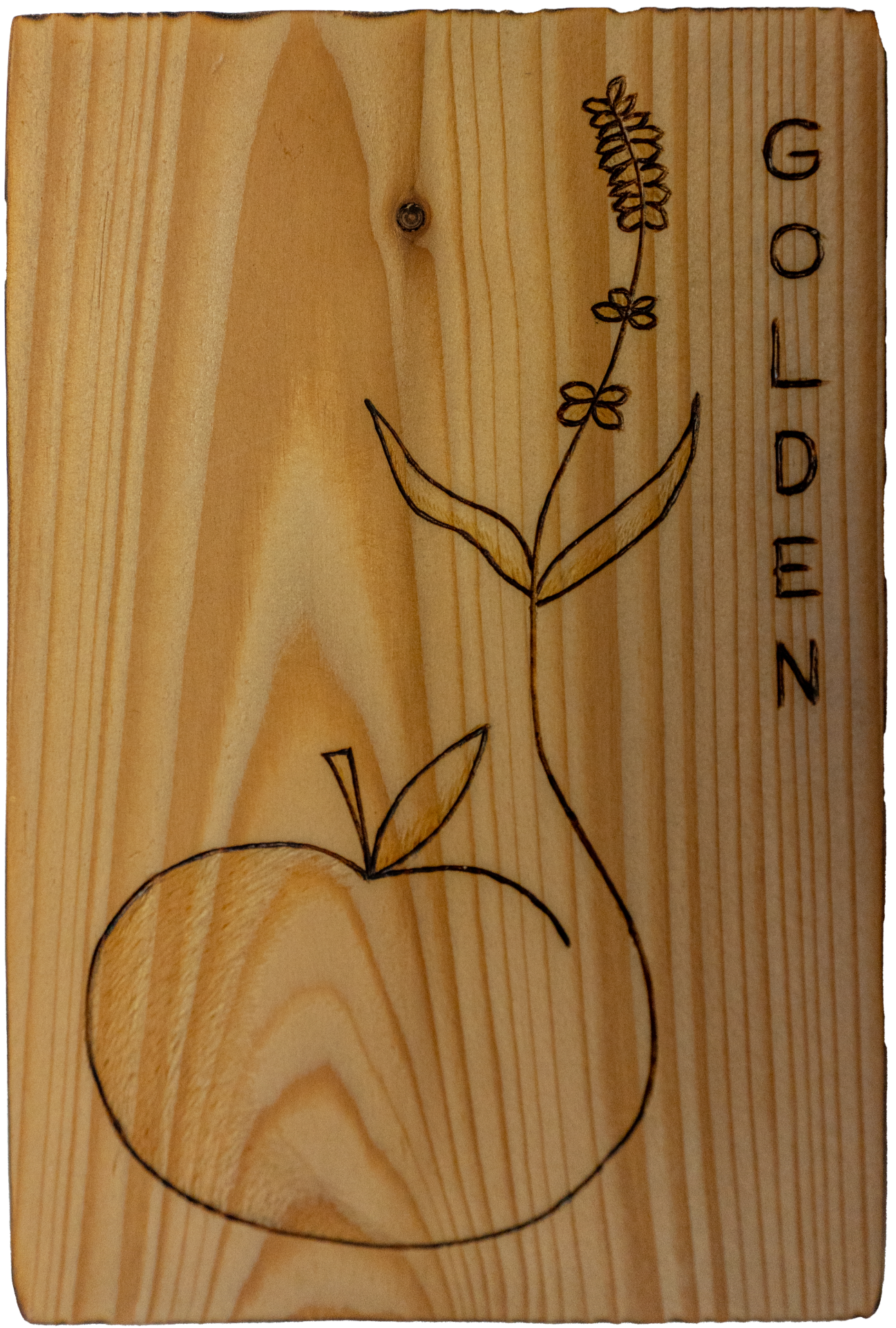 Golden — Triple