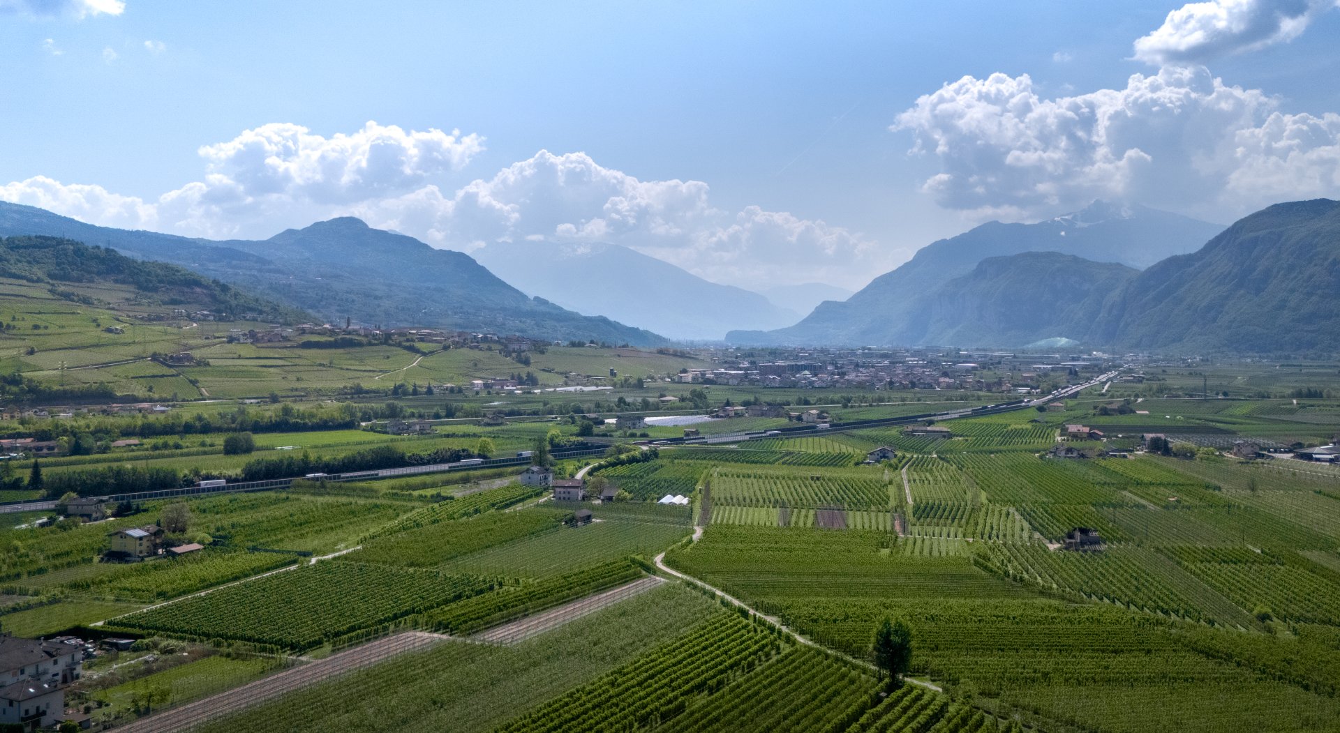 Wake up in the Trentino fields